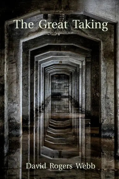 The Great Taking   -  Paperback Ð by David Rogers Webb