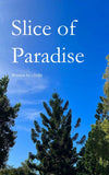 Slice of Paradise -- Paperback Ð by S Hukr