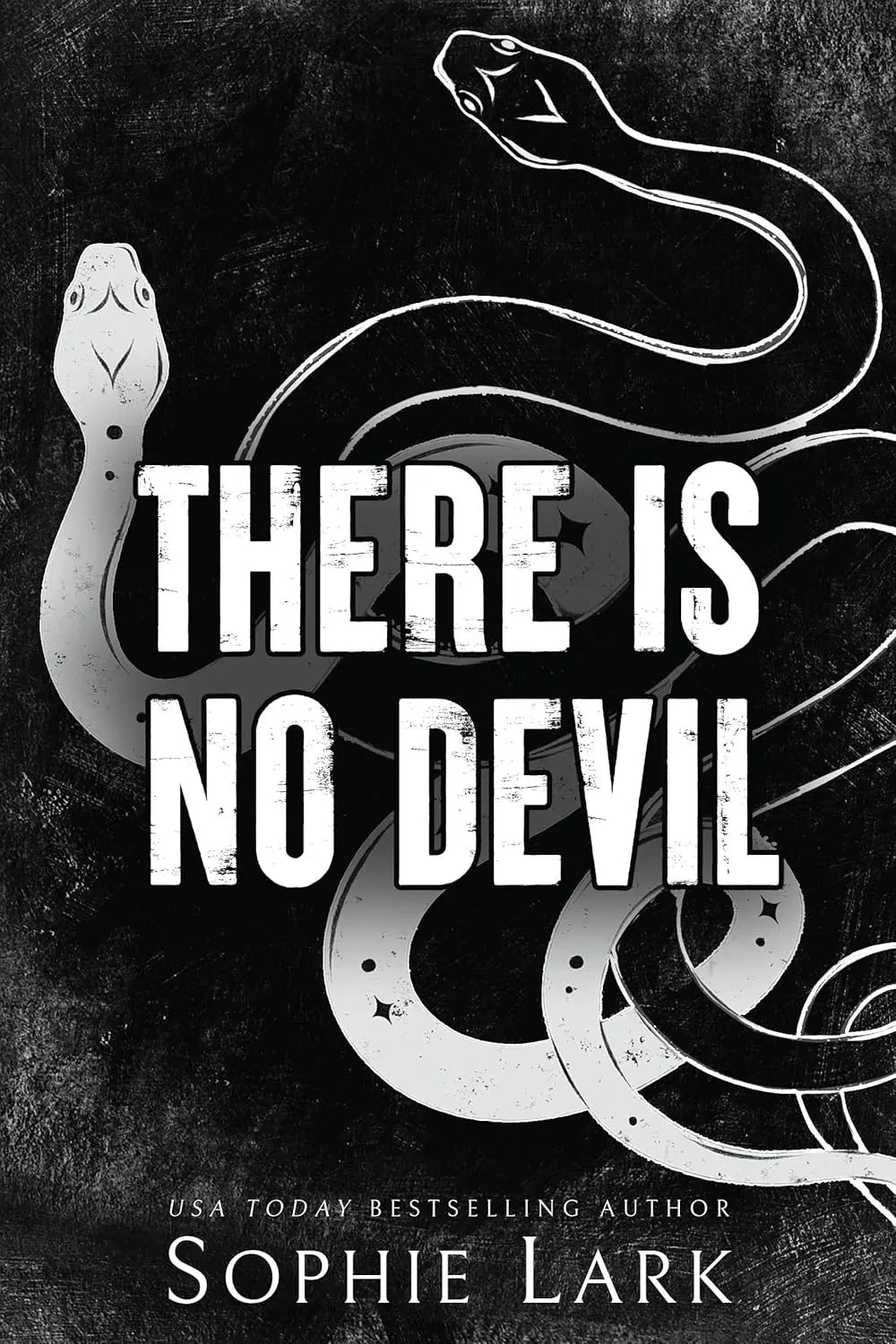 There Is No Devil (Sinners Duet, 2) Paperback Ð  by Sophie Lark (Author)