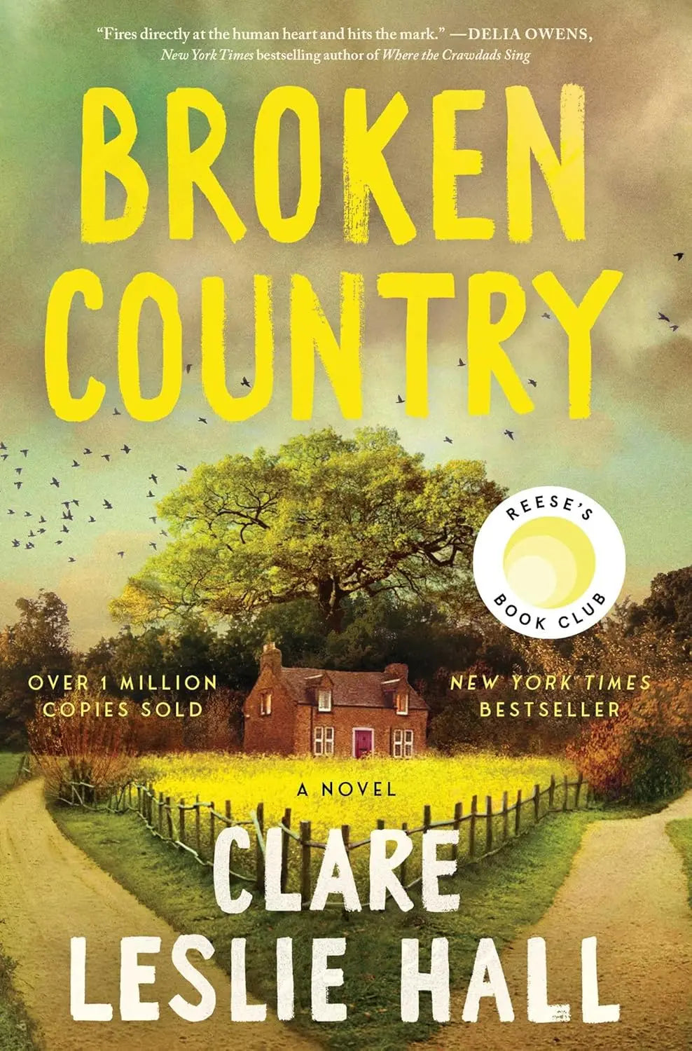 Broken Country Paperback Ð  by Clare Leslie Hall