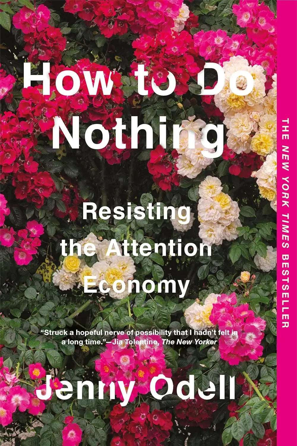 How to Do Nothing: Resisting the Attention Economy Paperback Ð by Jenny Odell (Author)