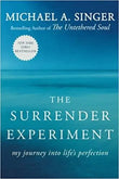 THE SURRENDER EXPERIMENT (PAPERBACK) - MICHAEL A. SINGER
