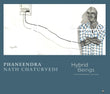 Hybrid Beings book cover
