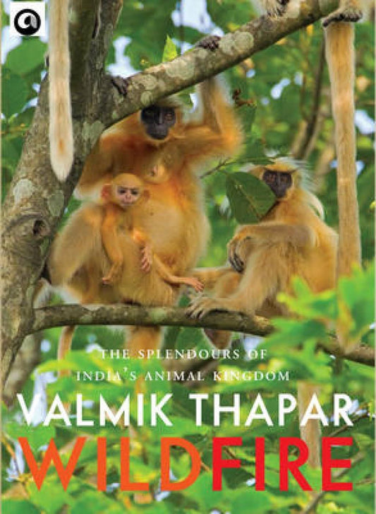 WILD FIRE book cover